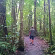 Wandeling naar de Emerald Pool